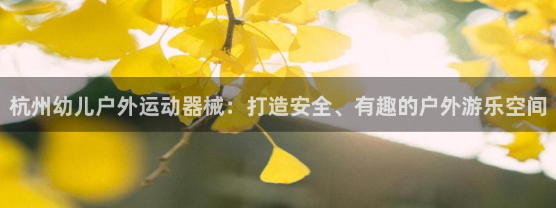 尊龙实业有限公司属于国企吗：杭州幼儿户外运动器械：打