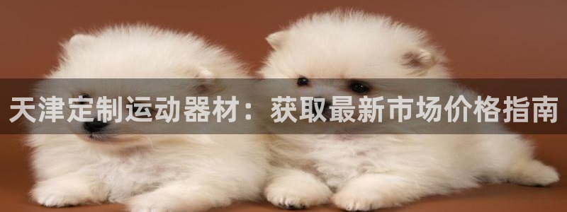 凯时k66官网登录：天津定制运动器材：获取最新市场价