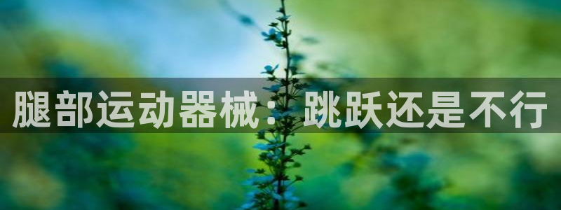 尊龙凯时不朽情缘：腿部运动器械：跳跃还是不行
