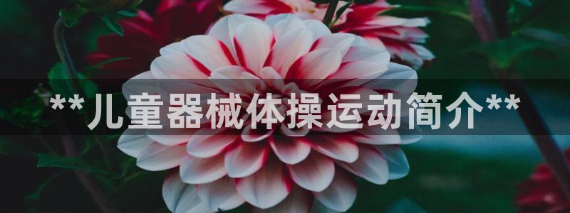 尊龙凯时人生就博官网：**儿童器械体操运动简介**