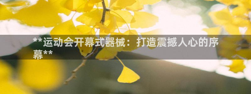 尊龙凯时产品种类：**运动会开幕式器械：打造震撼人心