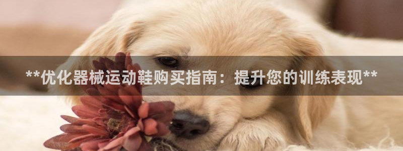 尊龙凯时捕鱼游戏能玩吗：**优化器械运动鞋购买指南：