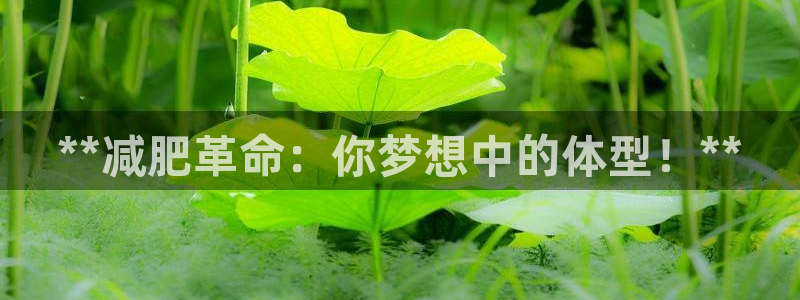 尊龙凯时提款一直审核中：**减肥革命：你梦想中的体型