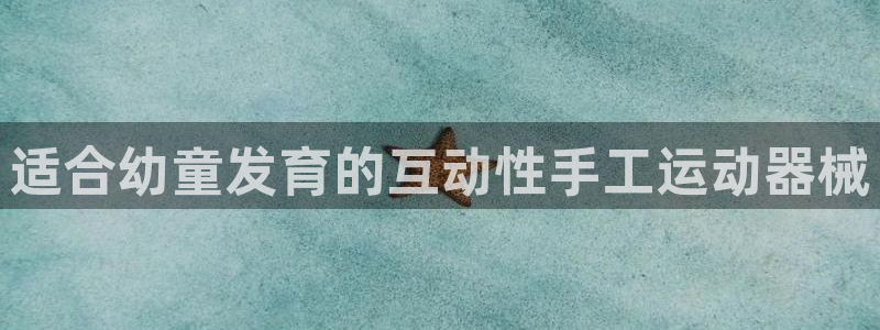 尊龙凯时返现：适合幼童发育的互动性手工运动器械