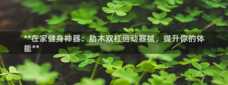 凯时平台app：**在家健身神器：肋木双杠运动器械，