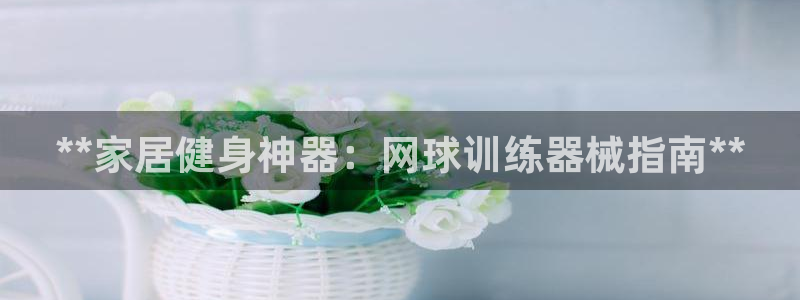 尊龙z6网址：**家居健身神器：网球训练器械指南**