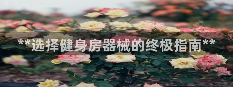 尊龙凯时是哪个国家的：**选择健身房器械的终极指南*