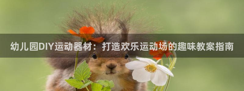 尊龙传奇英文怎么写：幼儿园DIY运动器材：打造欢乐运