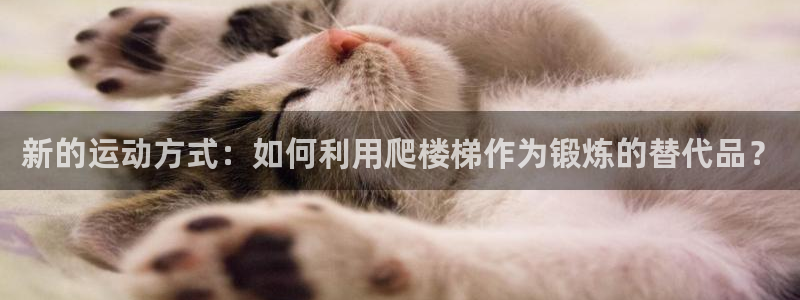 凯时网址多少