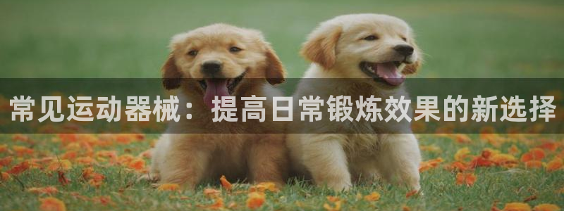 尊龙人生就是博i可靠吗