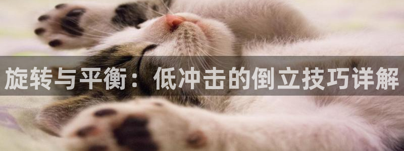 尊龙凯时人生就是搏官