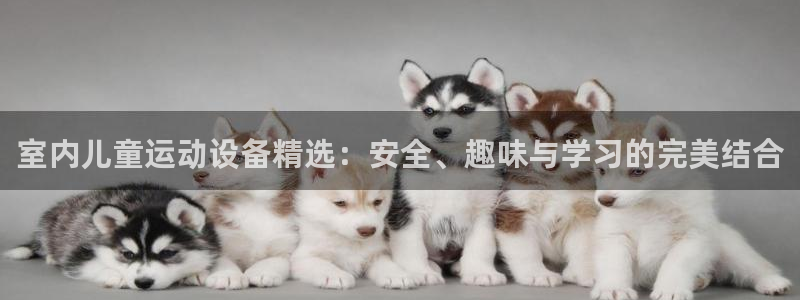 尊龙凯时网娱乐最新版下载