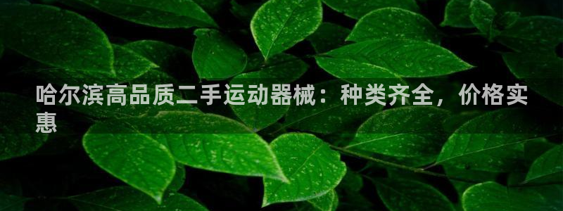 尊龙官网APP下载：哈尔滨高品质二手运动器械：种类齐
