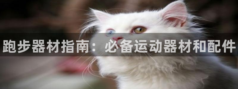 尊龙中国：跑步器材指南：必备运动器材和配件