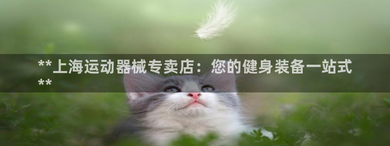 尊龙凯时官方网站：**上海运动器械专卖店：您的健身装备一站式