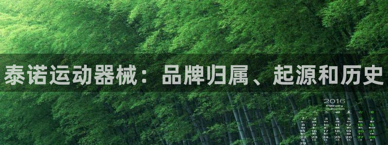 尊龙多少岁：泰诺运动器械：品牌归属、起源和历史