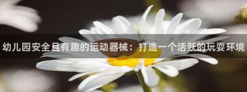 尊龙AG发财网：幼儿园安全且有趣的运动器械：打造一个