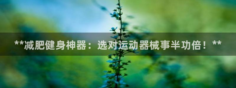 尊龙凯时链接：**减肥健身神器：选对运动器械事半功倍！**