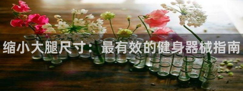 尊龙凯时人生就是搏 品牌专区：缩小大腿尺寸：最有效的健身器械