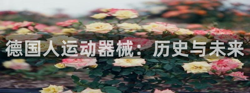 尊龙凯时最新平台登陆