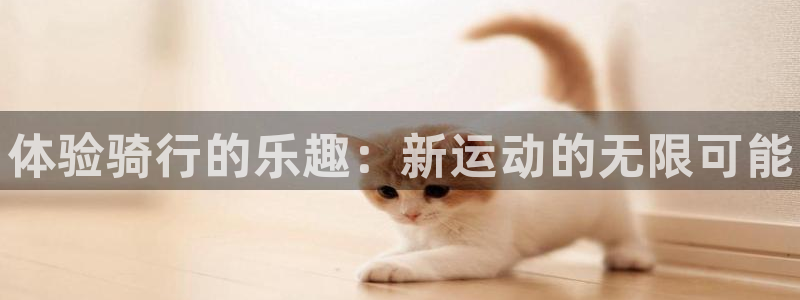 尊龙d88ag旗舰厅