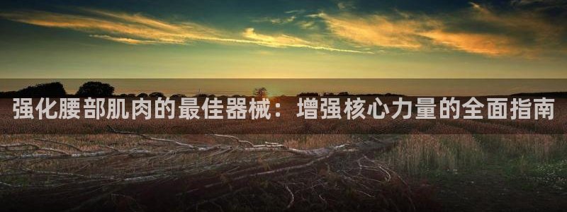 尊龙凯时是赌博嘛：强化腰部肌肉的最佳器械：增强核心力量的全面