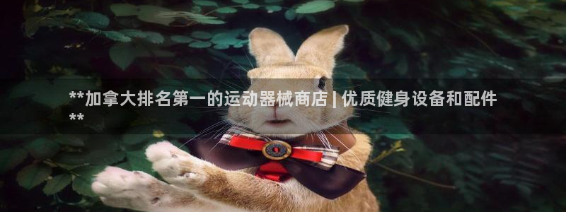 尊龙凯时赞助：**加拿大排名第一的运动器械商店 | 