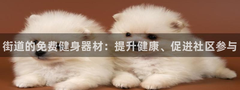 d88尊龙官网手机app：街道的免费健身器材：提升健